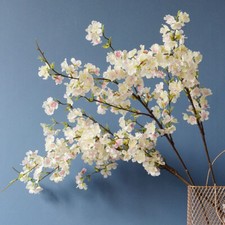 4-pronged Cherry Blossom