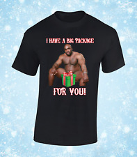 I HAVE A BIG PACKAGE FOR YOU MENS T SHIRT CHRISTMAS XMAS FUNNY MEME WOOD RUDE 