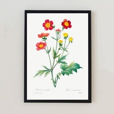 Botanical Flower Vintage Plant
