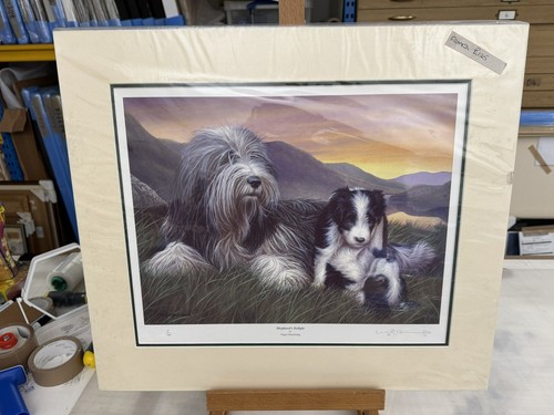 Nigel hemming shepherds - nigel,