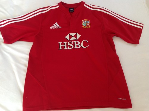 British lions adidas - british,