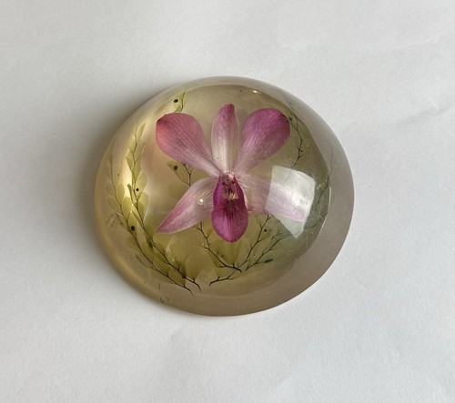 Vintage purple orchid - vintage, flower