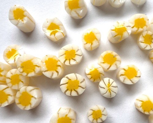 Daisy flower murrini for - , glass
