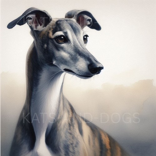 Spanish greyhound watercolour - greyhound,