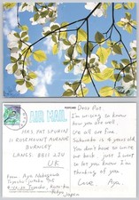 c35660 Flowering dogwood tree   Japan  postcard 2012 stamp