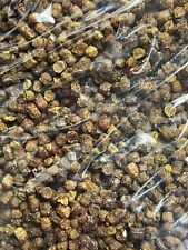 Raw Organic Bee Bread 1kg