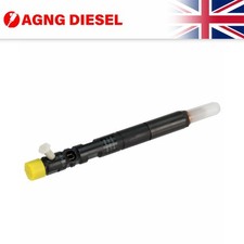 Delphi Fuel Injector R02801D
