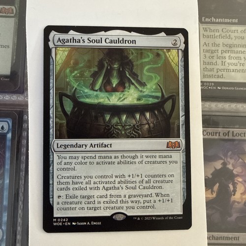 Agatha soul cauldron wilds - cauldron,