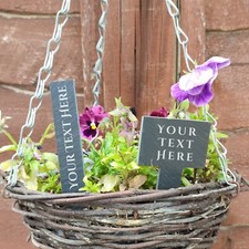 Slate Allotment Garden
