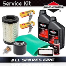 Ride On Service Kit for Briggs