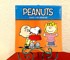 PEANUTS CHARLIE BROWN AND GANG