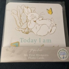 Peter rabbit paperchase - peter,