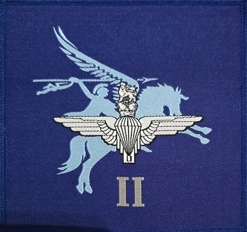 2nd battalion the - 2nd, parachute