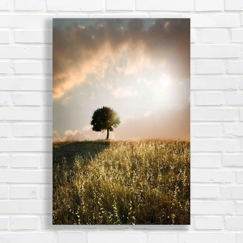 Solitary oak tree - oak,