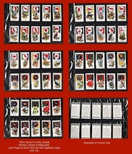 "BOY SCOUT & GIRL GUIDE Patrol