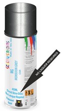 Direct Shine Paint Spray