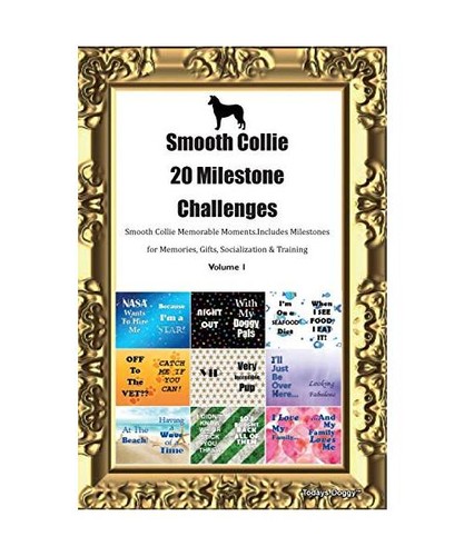 Smooth collie milestone - collie,
