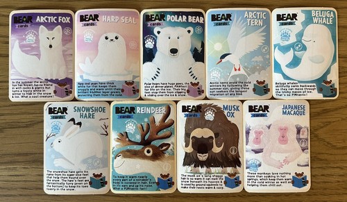 Bear animals cards - animals,