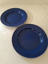 2 Blue Enamel Plates Camping Caravan Camper 10"