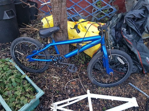 Apollo chaos bmx youth - youth, bike