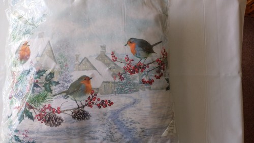 Robins the snow lightup - in,