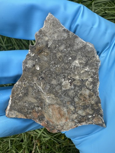 Part slice nagjir 005 - nagjir,
