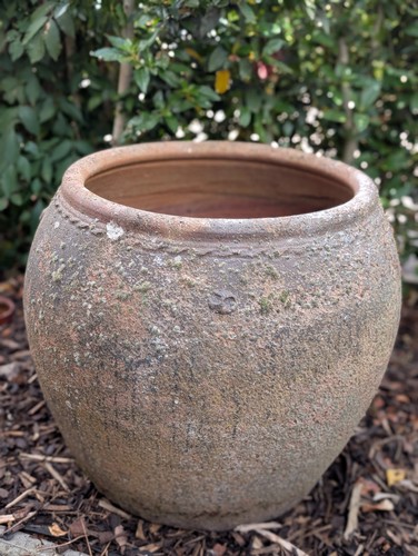 Earthenware garden pot large - earthenware,