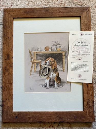 Beagle dog awaiting - dog, walkies