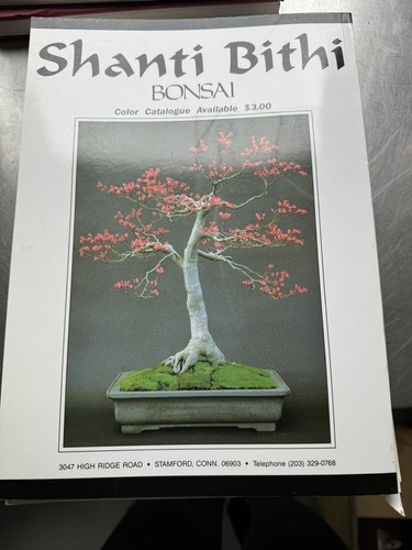 Bonsai today magazine issue - magazine,