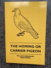 homing pigeons carrier tegetmeier doves lofts racing