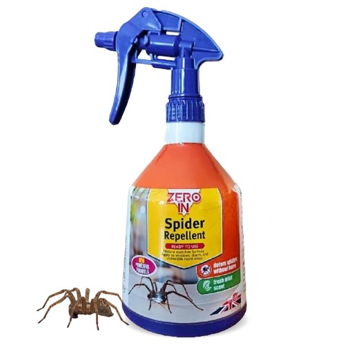 Spider repellent indoor - spider,