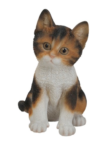 Pet pals tortoiseshell - pet, kitten