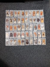 Player cigarette cards dogs - player's,