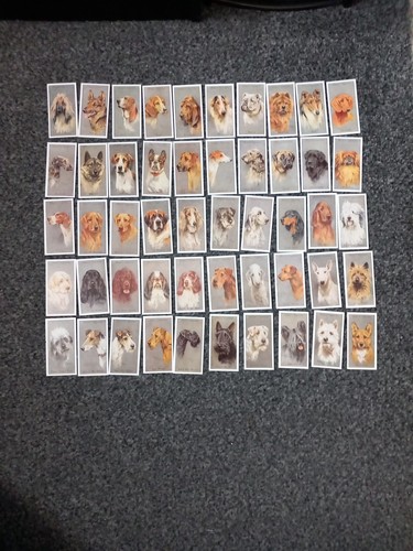 Player cigarette cards dogs - player's,