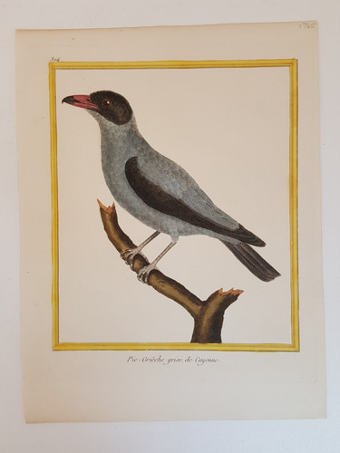 Antique 1765 hand colored