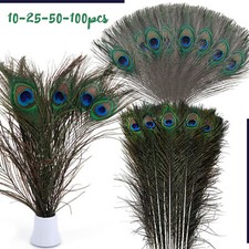 LONG 10-100pcs Natural Peacock
