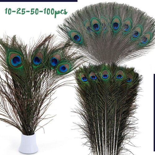 Long 100pcs natural peacock - long,