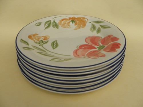 Staffordshire tableware - staffordshire,