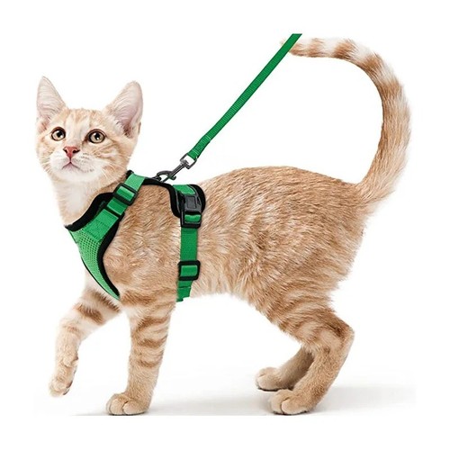Adjustable cat harness and - cat,