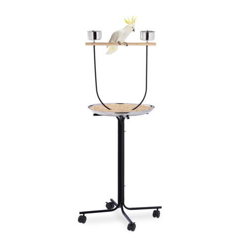 Parrot perch bird - perch,