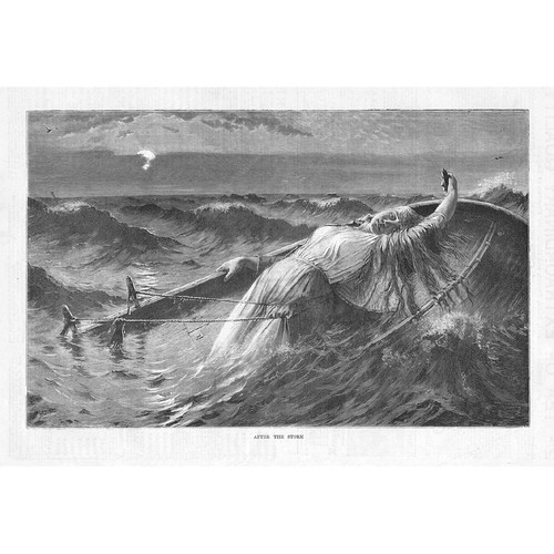 Hans dahl after the - hans, storm