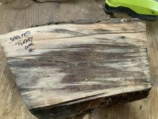 Spalted Turkey Oak Bowl Blank