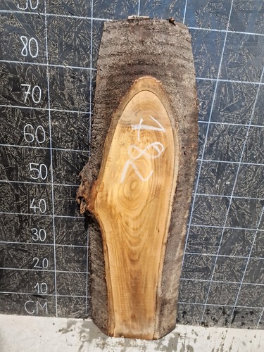 English walnut slab - walnut, edge