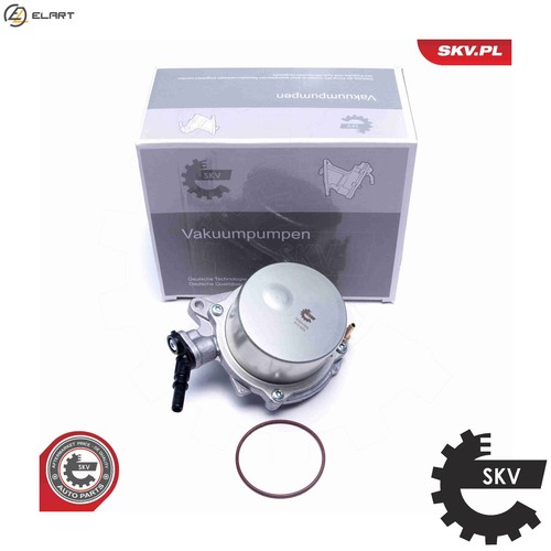 Vacuum pump braking system - pump,