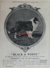 Buchanan's BLACK & WHITE