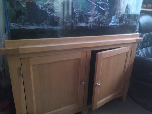 Large fish tank - large,
