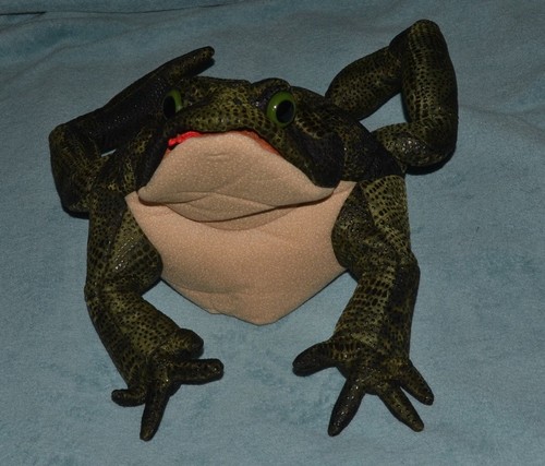 Pre loved folkmanis toad hand - pre-loved,