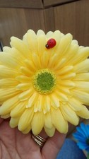 Single yellow gerbera daisy - ,
