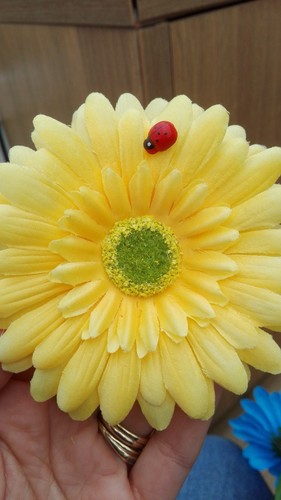 Single yellow gerbera - gerbera, daisy