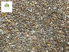 Dove food mix 20kg - dove,